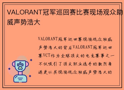 VALORANT冠军巡回赛比赛现场观众助威声势浩大