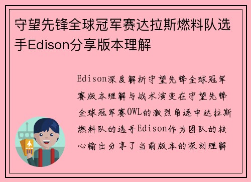 守望先锋全球冠军赛达拉斯燃料队选手Edison分享版本理解